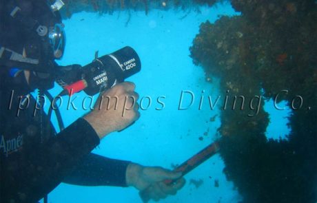 Ippokampos Diving CO Diving and Underwater Services