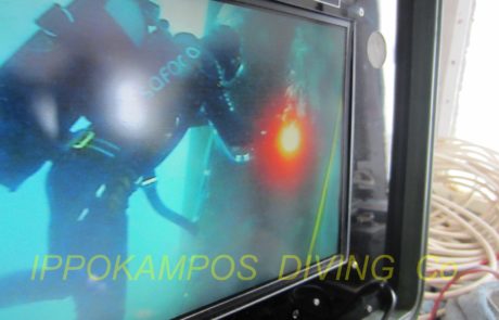 Ippokampos Diving CO Diving and Underwater Services